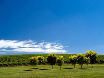 Select Set As Desktop Background Wallpaper Nature Seasons