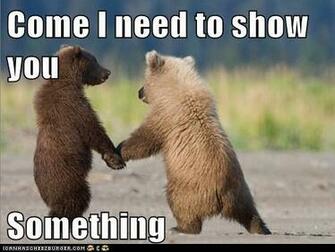 Funny Animals With Captions Wallpaper