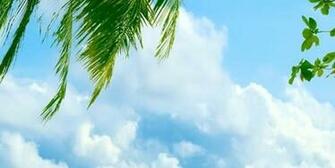 Exotic Beach Resort Best Htc One Wallpaper And Easy To