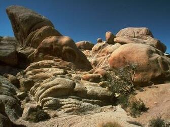 Joshua Tree National Park Service