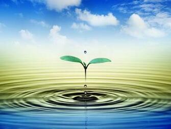 New Life Wallpaper Funny Photos Jpg