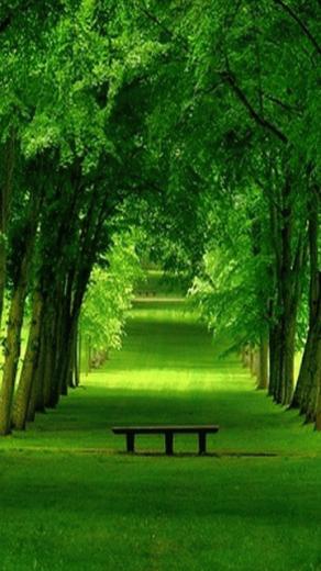 Nature Wallpaper For Mobile