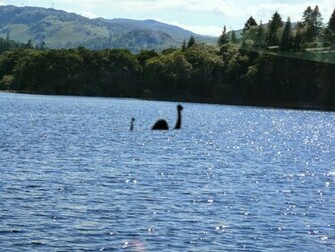 Loch Ness Monster Sightings Wallpaper Animals HD