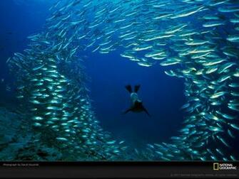 Most Famous National Geographic HD Wallpaper Part