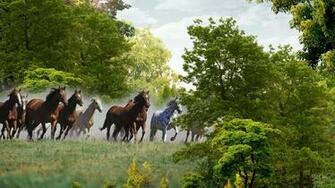 Running Horses