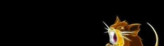 Pokemon Raticate Black Background 9kdb