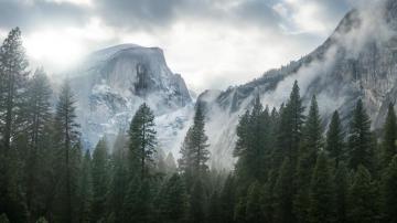 Yosemite National Park Nature Mountain Trees Mist Wallpaper