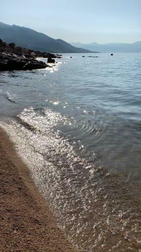 Andrea Kavanagh On Landscape In Beach