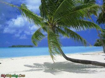 Tahiti Beach Wallpaper Weddingdressin
