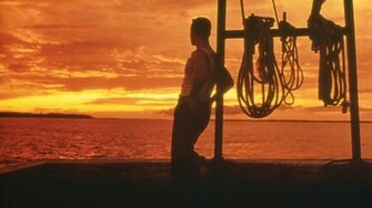 Forrest Gump Wallpaper HD Desktop