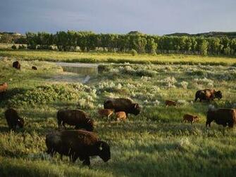 North Dakota Guide Facts Map United States