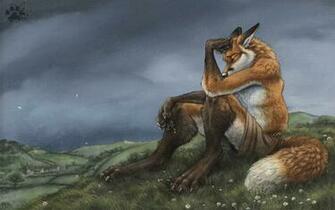 Furry Fandom Wallpaper Foxes
