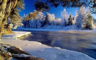 Wide Wallpaper Beautiful Wildlife For Ios Winter Snow Trees