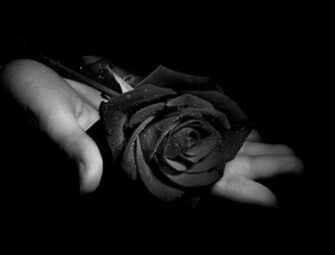 Black Rose Dragon Amazing Wallpaper