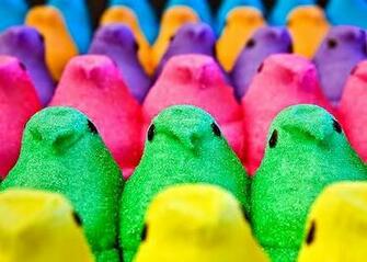 Peeps Candy Wallpaper I Gave Up For Lent