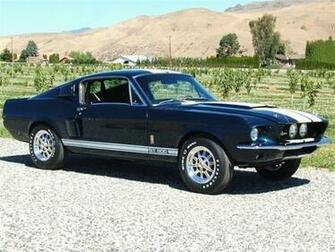 Used Nightmist Blue Ford Mustang Shelby Gt In Call