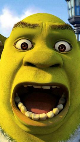 Phone Shrek Face Wallpaper Sun