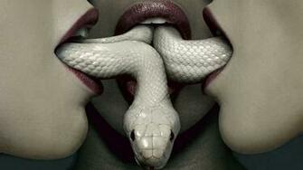 Tv Show American Horror Story Coven Wallpaper