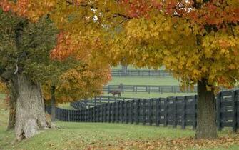 Farm Wallpaper
