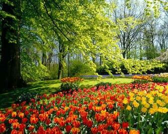 Beautiful Spring Exclusive HD Wallpaper