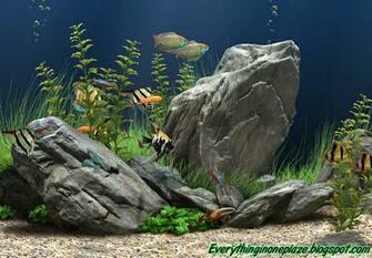 3d Aquarium I Ever Seen Dream You Can T Imagine It S Reality