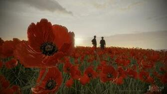 Remembrance Day Poppy Wallpaper