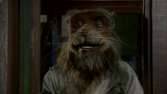 Splinter Wallpaper Movie Hq Pictures 4k