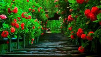 Beautiful Wallpaper For Phone Screen Pictures