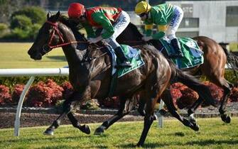 Horse Racing Wallpaper Pictures Image