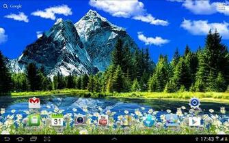 Google Wallpaper Spring Wildflowers