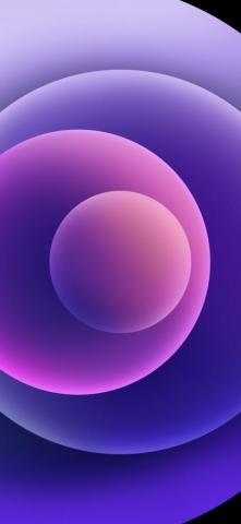 iPhone Purple Wallpaper Light Mode Zollotech