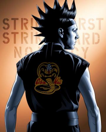 My Illustration Of Hawk R Cobrakai