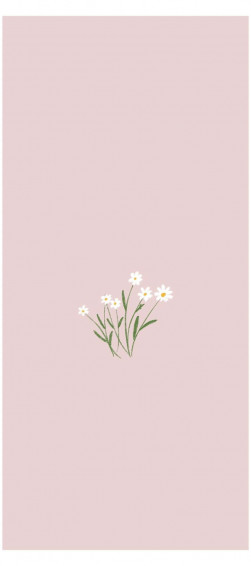 Minimalist Flower Aesthetic Wallpaper