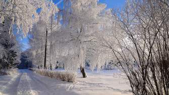 Photography Winter 4k Ultra HD Wallpaper