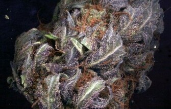 King Purple Haze HD Weed Wallpaper