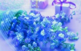 Valentine Flowers Wallpaper And Stock Photos Flower