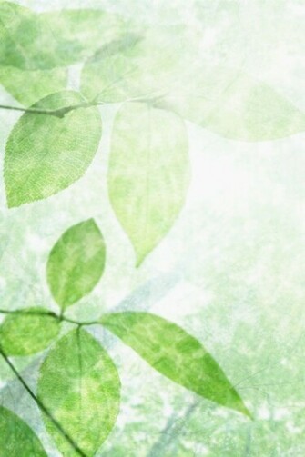 iPhone Leaf Wallpaper Background