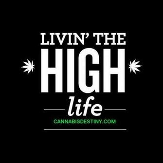 Livin The High Life Marijuana Cannabis Highlife Quotes