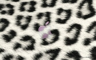 Leopard Wallpaper iPhone For Desktop
