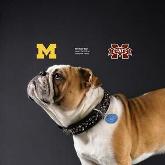 Michigan Football Fan Art The