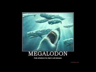 Megalodon West Coast Desktop Wallpaper HD Sharks