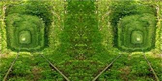 High Resolution Beautiful Nature Jungle Wallpaper Widescreen HD Full