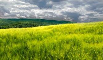 Netbook Wallpaper Landscape