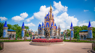 Disney Zoom Background Wallpaper Tourist