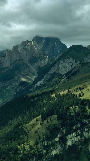 Powerfully Mountains Forest iPhone Wallpaper