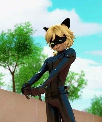 The Coolest Cat In Town Wallpaper