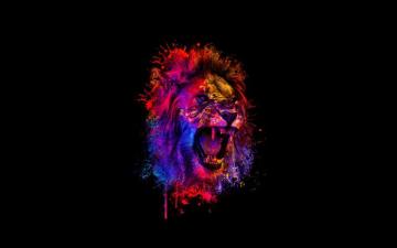 Wallpaper Abstract Lion 4k Creative Minimal Black