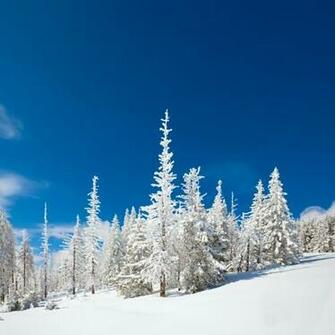 Winter Landscapes For iPad