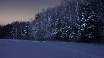 Winter Night Wallpaper