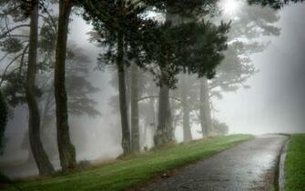 Nature Rain Wallpaper